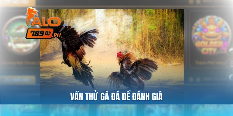 Vần thử để đánh giá