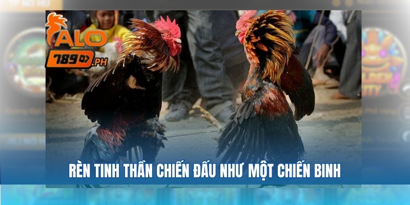 Rèn tinh thần chiến đấu như một chiến binh