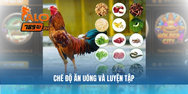 Chế độ ăn uống và luyện tập