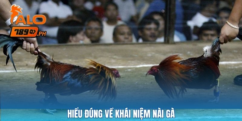 Hiểu đúng về khái niệm nài gà là gì