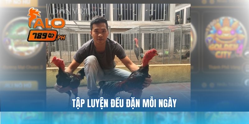 Tập luyện đều đặn mỗi ngày