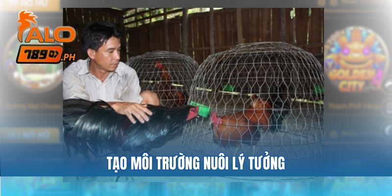 Tạo môi trường nuôi lý tưởng