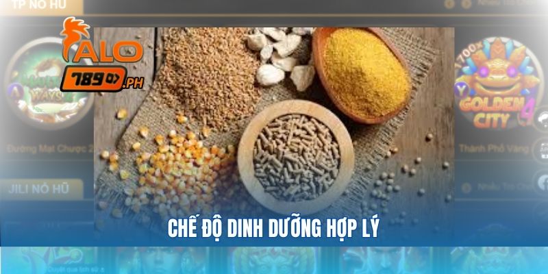 Chế độ dinh dưỡng hợp lý