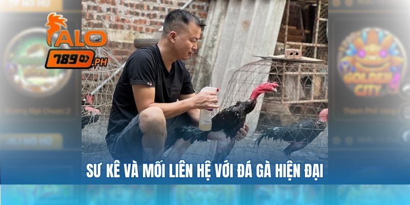 Sư kê và mối liên hệ với đá gà hiện đại