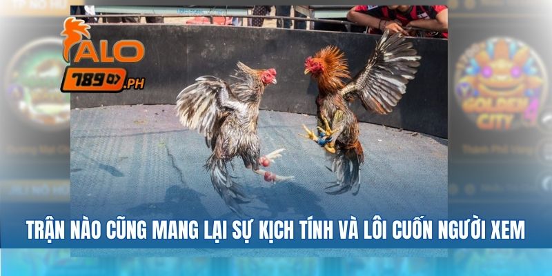 Trận nào cũng mang lại sự kịch tính và lôi cuốn người xem