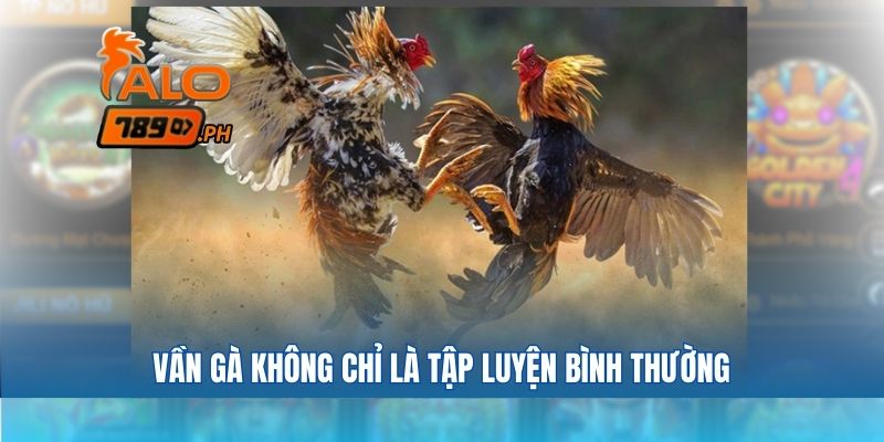 Vần gà không chỉ là tập luyện bình thường